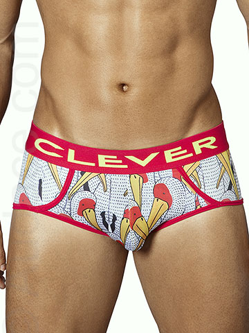 Clever Matches Piping Briefs
