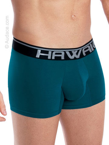 Hawaii Solid Athletic Trunks