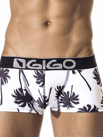 Gigo Palm Springs Boxer